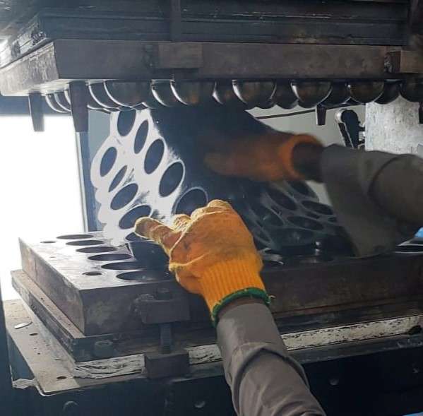 WhatsApp Image 2025-07-31 at 2.09.28 PM