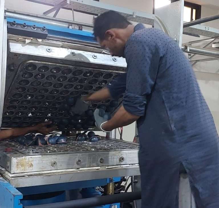 WhatsApp Image 2025-09-02 at 10.19.49