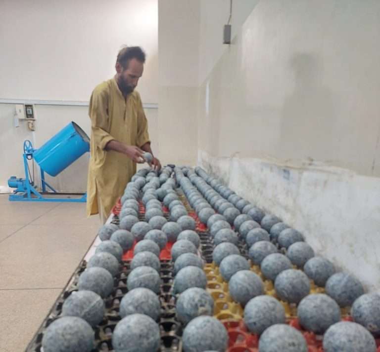 WhatsApp Image 2025-09-02 at 10.19.50