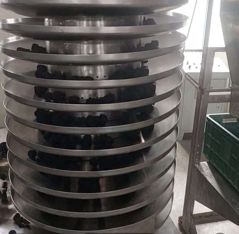 WhatsApp Image 2025-09-02 at 10.23.07